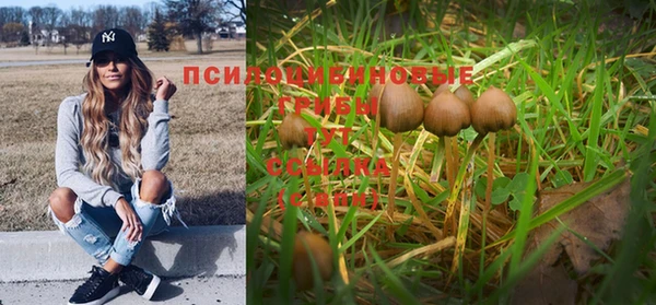 гашишное масло Лагань