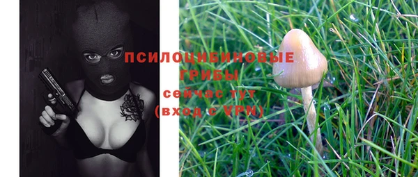 прущая мука Липки